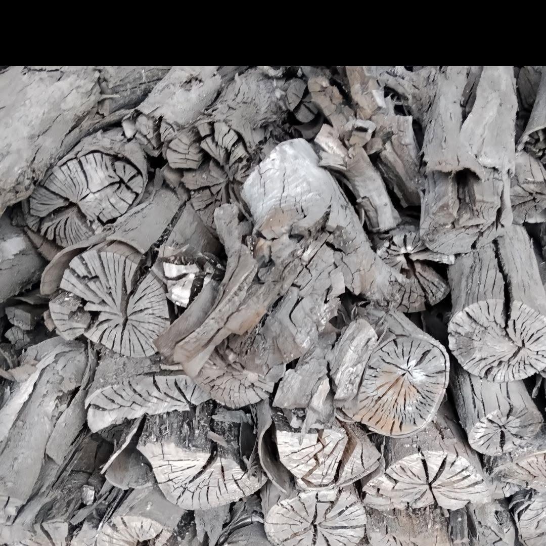 Tas de charbon de bois de cocotier, on voit les cernes du tronc